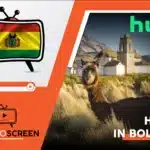 How to Watch Hulu in Belgium [VPN Guide Nov 2023]